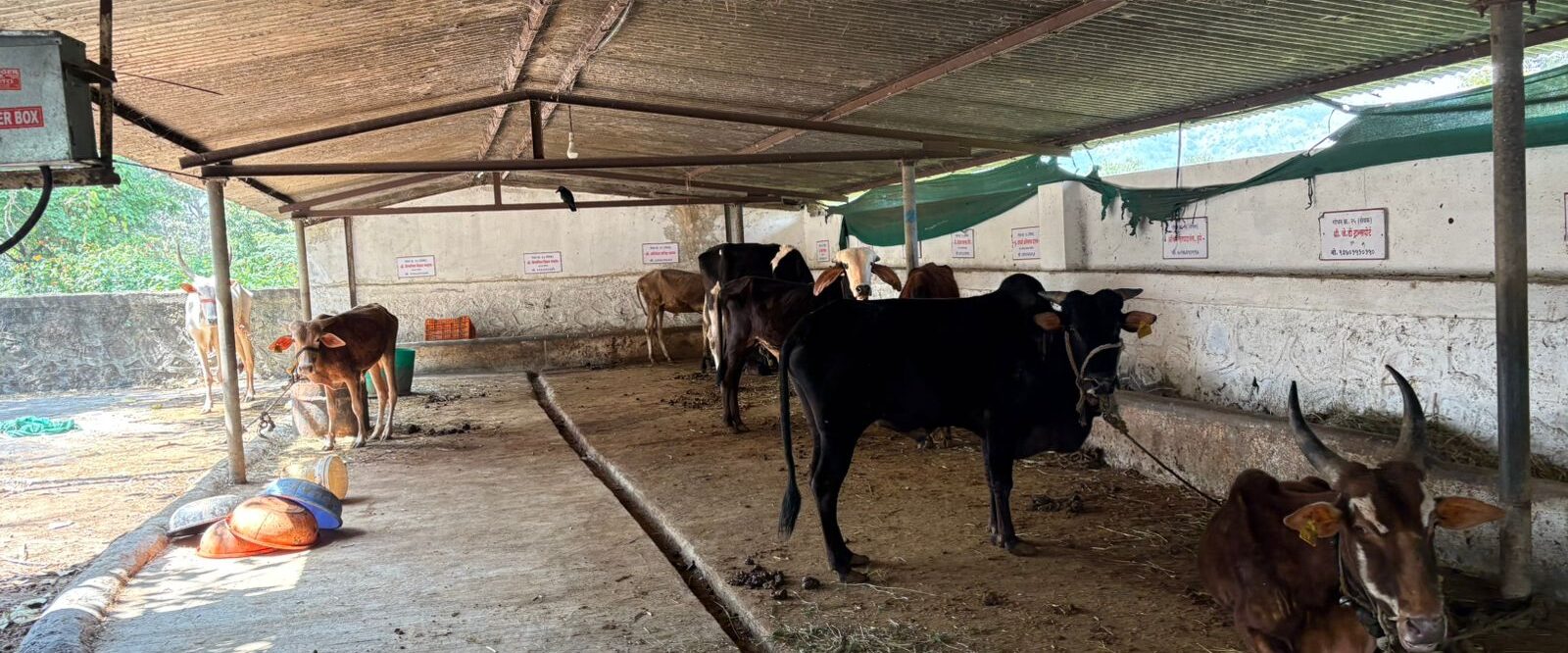 WhatsApp Image 2025-10-25 at 7.20.24 PM (1)