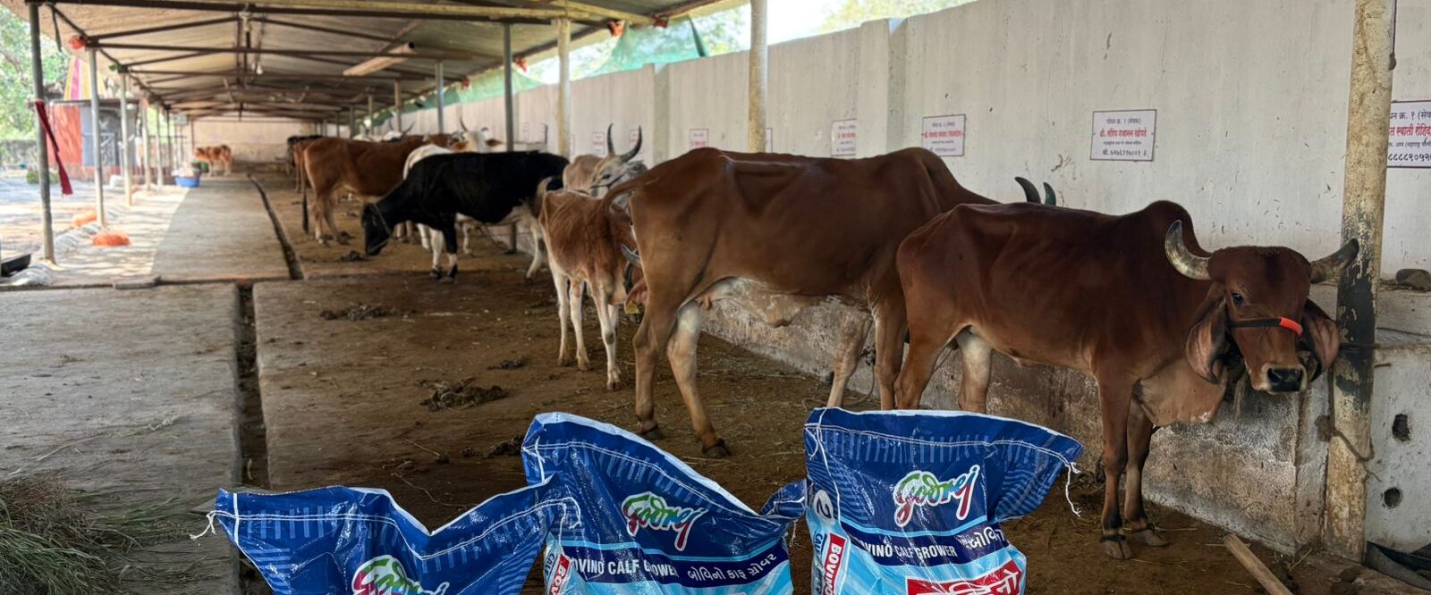 WhatsApp Image 2025-10-25 at 7.20.25 PM