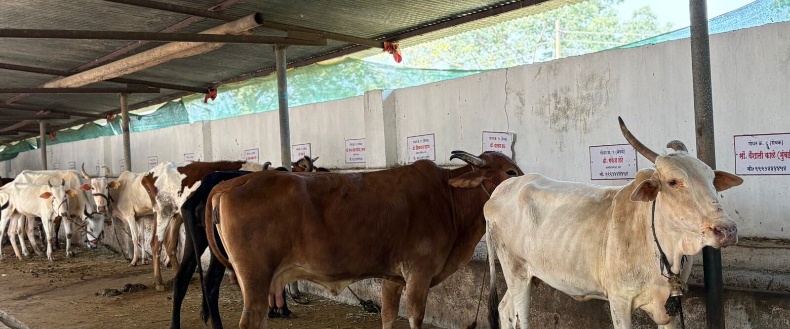 WhatsApp Image 2025-10-25 at 7.20.25 PM (2)