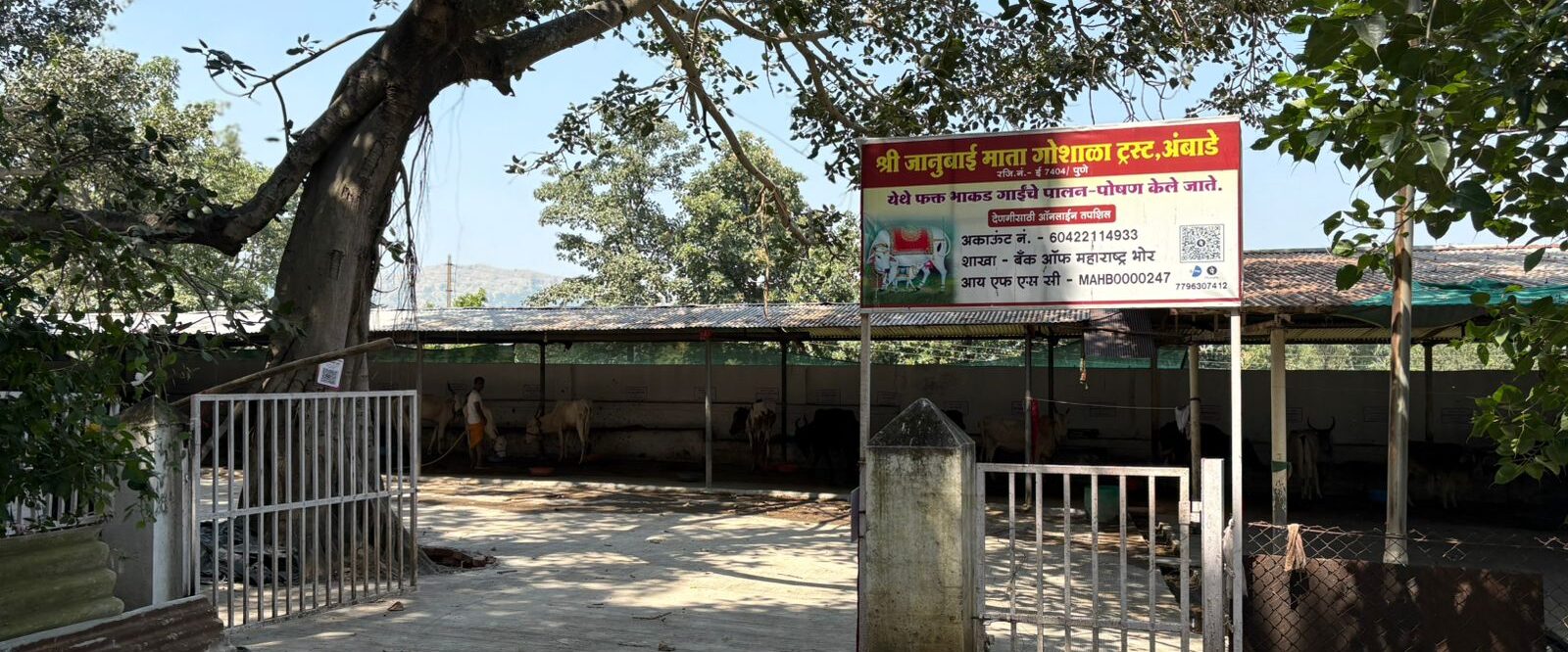 WhatsApp Image 2025-10-25 at 7.20.29 PM