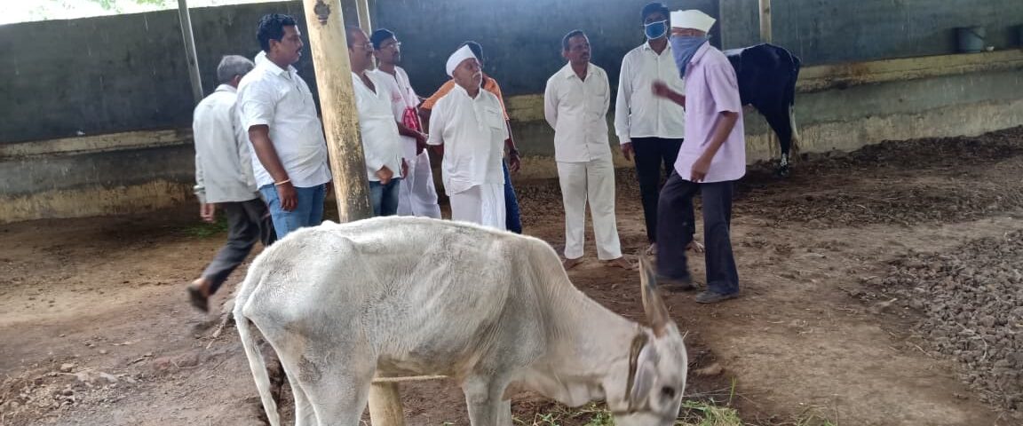 WhatsApp Image 2025-10-25 at 7.22.02 PM