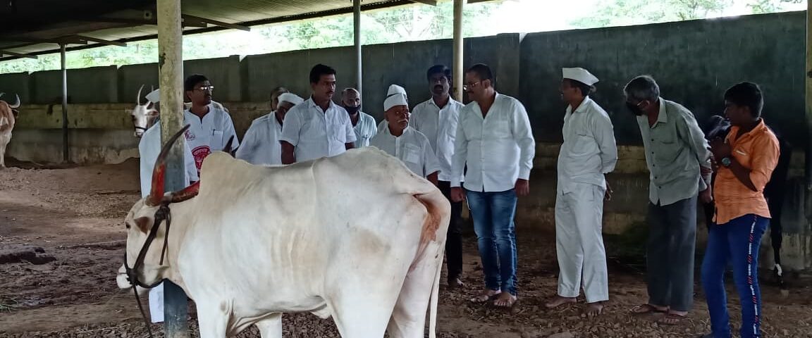 WhatsApp Image 2025-10-25 at 7.22.03 PM